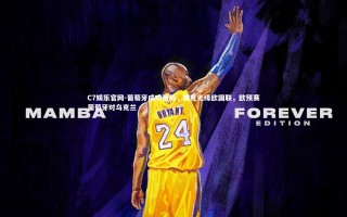 C7娱乐官网-葡萄牙成功晋级，捷克无缘欧国联，欧预赛葡萄牙对乌克兰