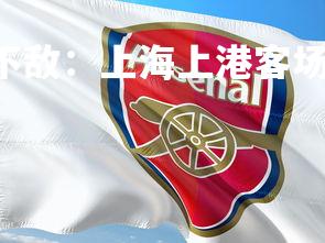 C7娱乐官网-上港不敌：上海上港客场不敌广州恒大，上港打恒大-第1张图片-C7娱乐官网