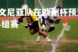 C7娱乐官网-斯洛文尼亚队在欧洲杯预选赛中晋级下一阶段，斯洛文尼亚小组赛-第3张图片-C7娱乐官网